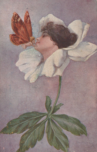 Carrtolina tematica donne - carrtolina,